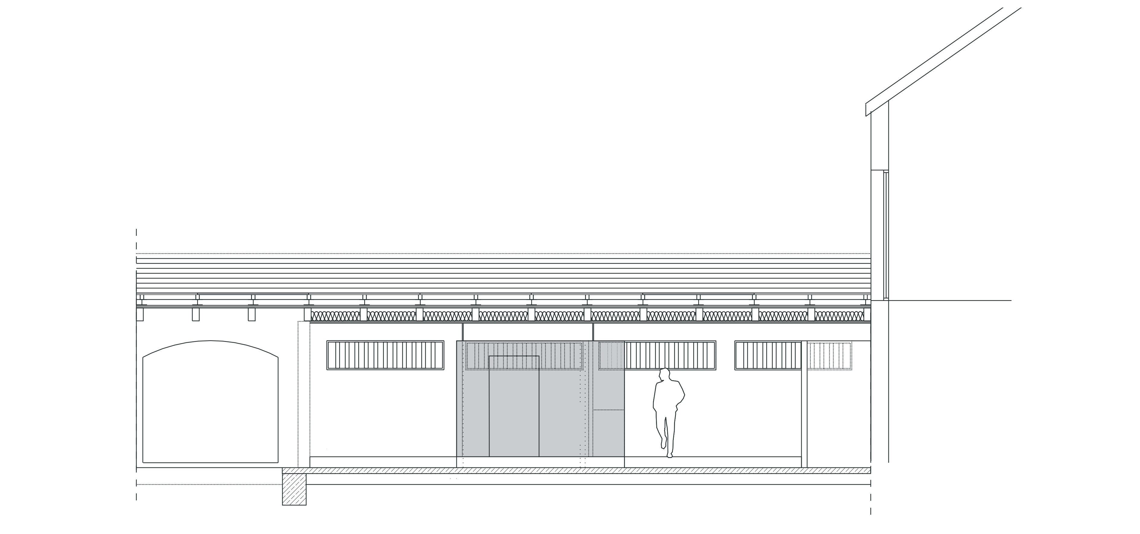 longitudinal section