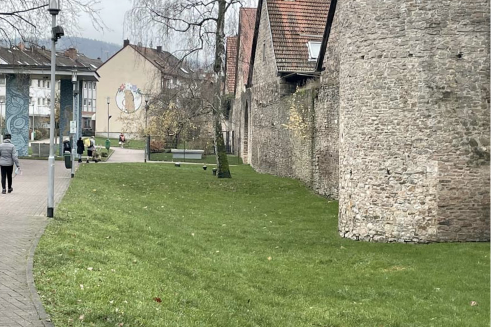 Vorher: Stadtmauer Bad Orb