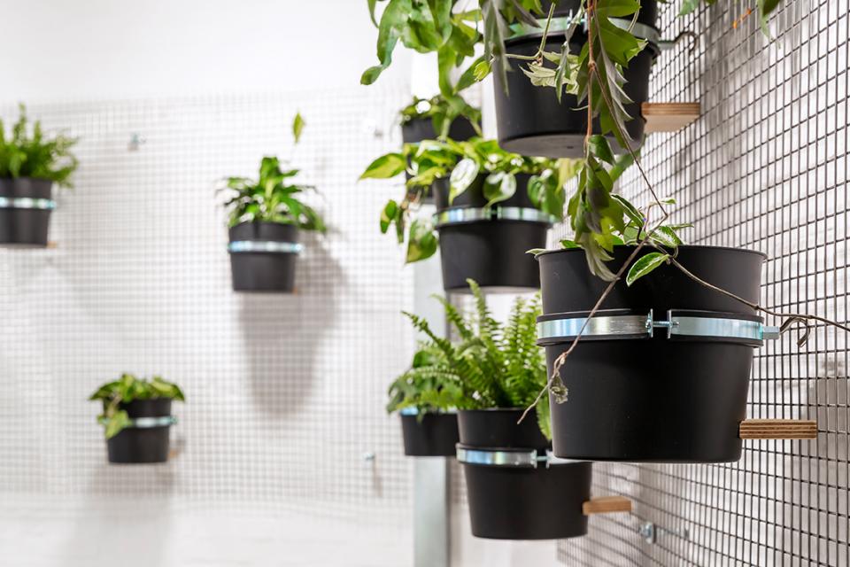 Coworking im Grünen