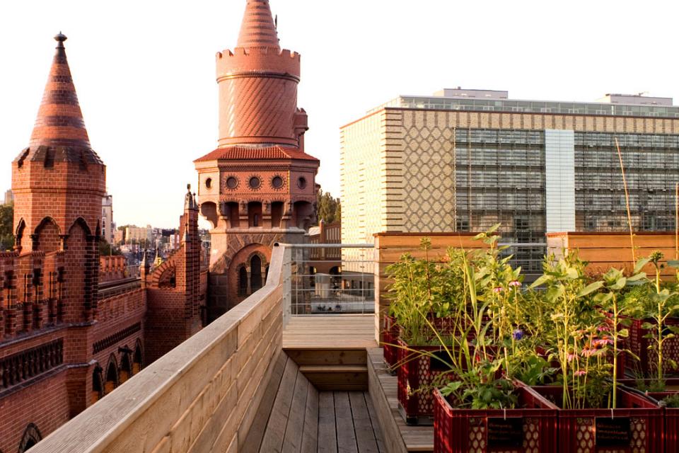 Urban rooftop garden, Berlin Kreuzberg